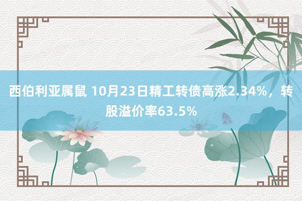 西伯利亚属鼠 10月23日精工转债高涨2.34%，转股溢价率63.5%