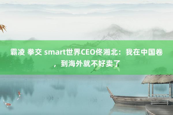 霸凌 拳交 smart世界CEO佟湘北：我在中国卷，到海外就不好卖了