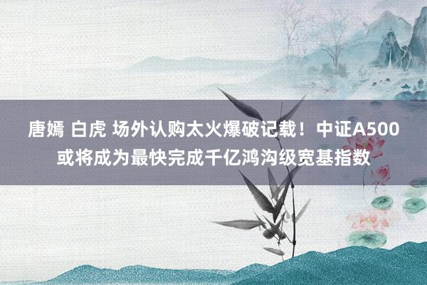 唐嫣 白虎 场外认购太火爆破记载！中证A500或将成为最快完成千亿鸿沟级宽基指数