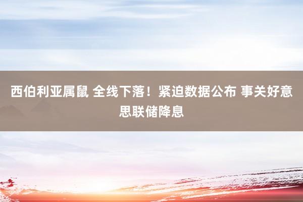 西伯利亚属鼠 全线下落！紧迫数据公布 事关好意思联储降息