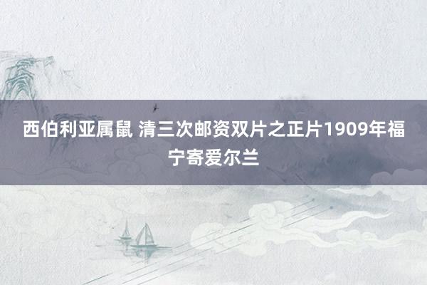 西伯利亚属鼠 清三次邮资双片之正片1909年福宁寄爱尔兰