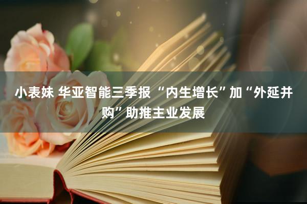 小表妹 华亚智能三季报 “内生增长”加“外延并购”助推主业发展