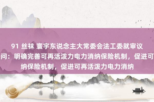 91 丝袜 寰宇东说念主大常委会法工委就审议动力法草案答每经问：明确完善可再活泼力电力消纳保险机制，促进可再活泼力电力消纳