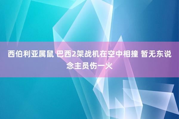 西伯利亚属鼠 巴西2架战机在空中相撞 暂无东说念主员伤一火