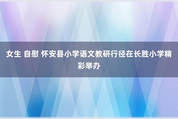 女生 自慰 怀安县小学语文教研行径在长胜小学精彩举办