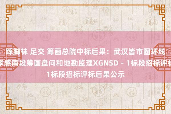 踩脚袜 足交 筹画总院中标后果：武汉皆市圈环线高速公路孝感南段筹画盘问和地勘监理XGNSD－1标段招标评标后果公示