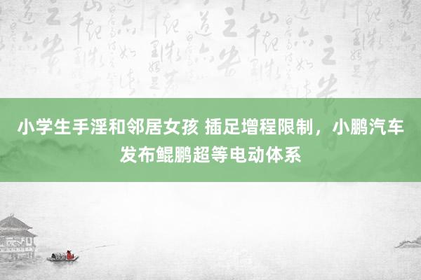 小学生手淫和邻居女孩 插足增程限制，小鹏汽车发布鲲鹏超等电动体系