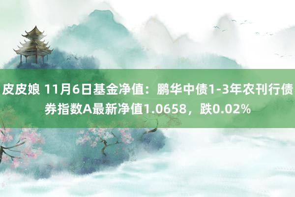 皮皮娘 11月6日基金净值：鹏华中债1-3年农刊行债券指数A最新净值1.0658，跌0.02%