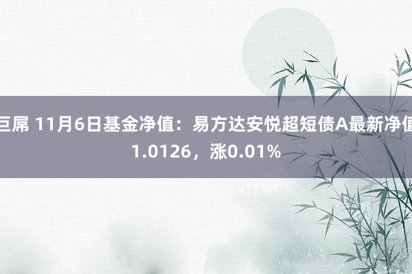 巨屌 11月6日基金净值：易方达安悦超短债A最新净值1.0126，涨0.01%