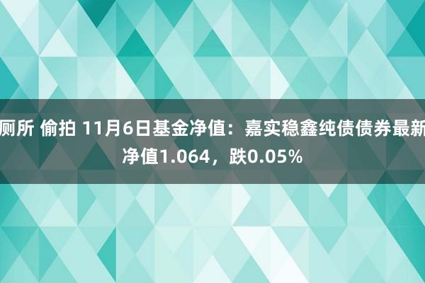 厕所 偷拍 11月6日基金净值：嘉实稳鑫纯债债券最新净值1.064，跌0.05%