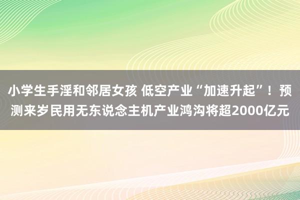 小学生手淫和邻居女孩 低空产业“加速升起”！预测来岁民用无东说念主机产业鸿沟将超2000亿元