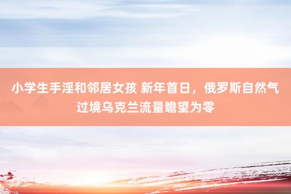 小学生手淫和邻居女孩 新年首日，俄罗斯自然气过境乌克兰流量瞻望为零