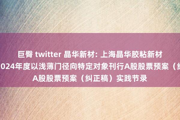 巨臀 twitter 晶华新材: 上海晶华胶粘新材料股份有限公司2024年度以浅薄门径向特定对象刊行A股股票预案（纠正稿）实践节录