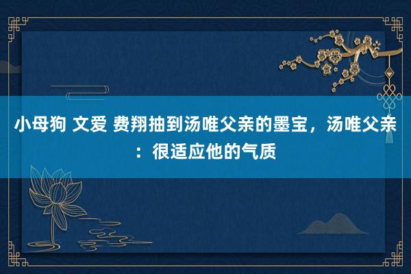 小母狗 文爱 费翔抽到汤唯父亲的墨宝，汤唯父亲：很适应他的气质