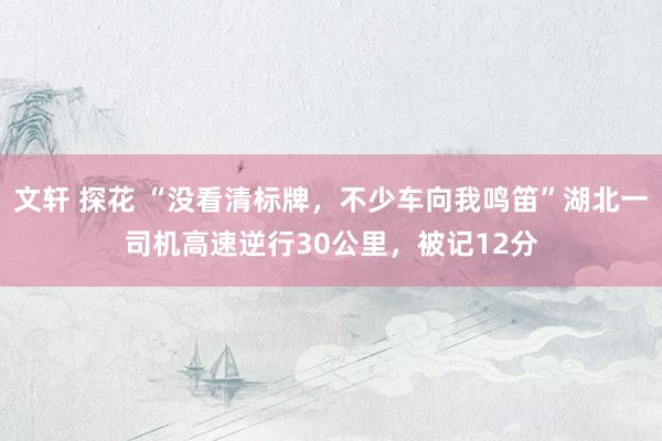 文轩 探花 “没看清标牌，不少车向我鸣笛”湖北一司机高速逆行30公里，被记12分