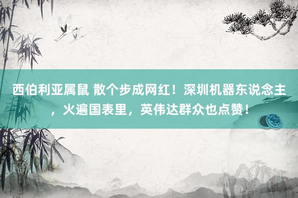 西伯利亚属鼠 散个步成网红！深圳机器东说念主，火遍国表里，英伟达群众也点赞！