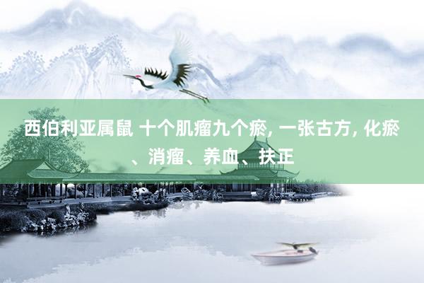 西伯利亚属鼠 十个肌瘤九个瘀, 一张古方, 化瘀、消瘤、养血、扶正