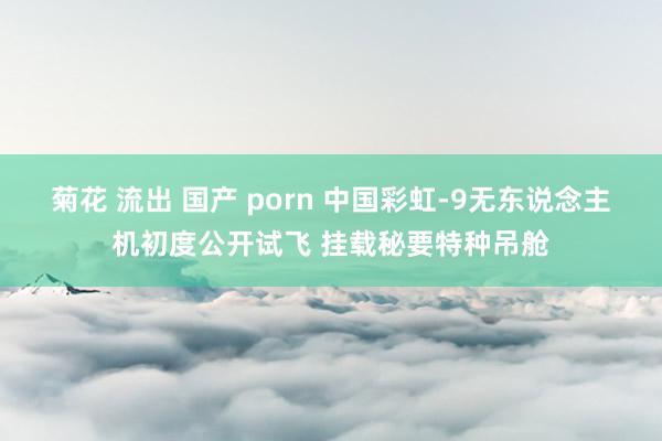 菊花 流出 国产 porn 中国彩虹-9无东说念主机初度公开试飞 挂载秘要特种吊舱