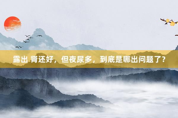露出 肾还好，但夜尿多，到底是哪出问题了？