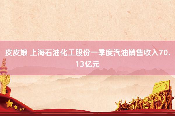 皮皮娘 上海石油化工股份一季度汽油销售收入70.13亿元